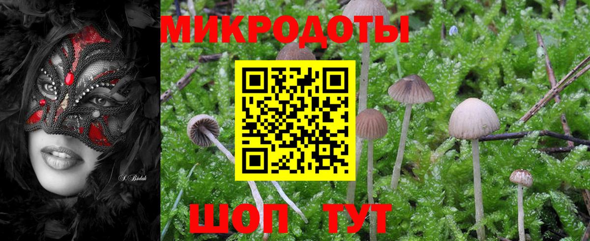Галлюциногенные грибы Magic Shrooms Саяногорск