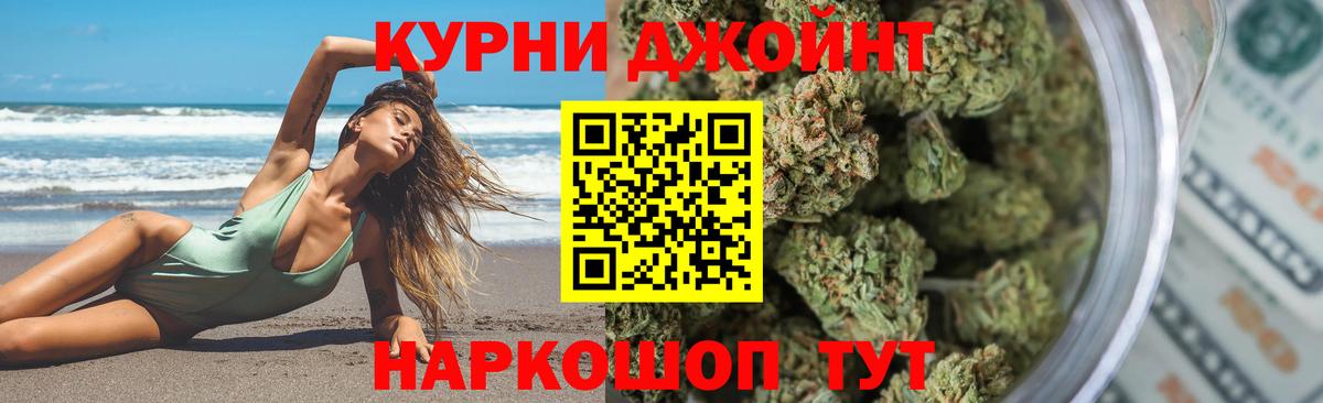 Конопля сатива Саяногорск